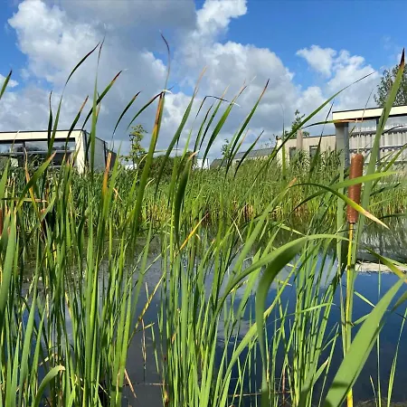 Marina Strandbad Aan Het Water Mit Zaun Haus Nr 134 *