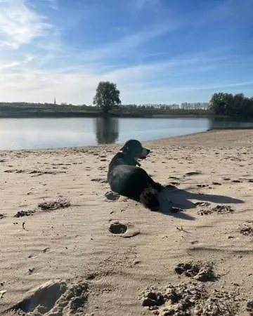 Marina Strandbad Aan Het Water Mit Zaun Haus Nr 134 * Olburgen