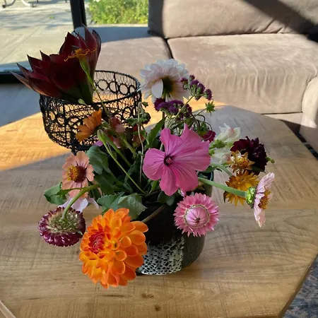 Marina Strandbad Aan Het Water Mit Zaun Haus Nr 134 Dom wakacyjny