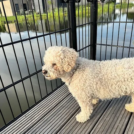 Marina Strandbad Aan Het Water Mit Zaun Haus Nr 134 * Olburgen