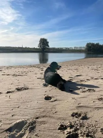 Marina Strandbad Aan Het Water Mit Zaun Haus Nr 134 * Olburgen