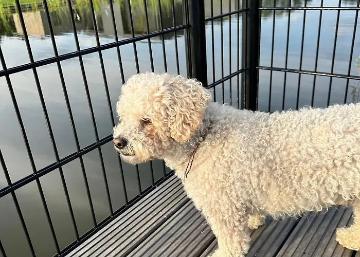 Marina Strandbad Aan Het Water Mit Zaun Haus Nr 134 * Olburgen